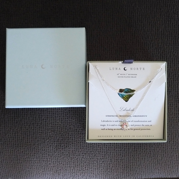 Luna🌙 Norte Double✌️ Silver Necklace-Bar/Lab Sun - Picture 9 of 15